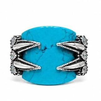 man's ring